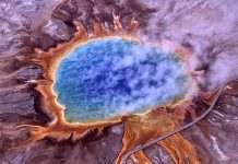 Thermophiles, a type of extremophile, produce some of the bright colors of Grand Prismatic Spring, Yellowstone National Park (http://en.wikipedia.org/wiki/Extremophile)